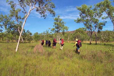 Walking across the plains near the end of the trip