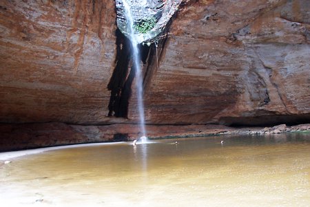 Cathedral shower