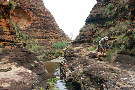 Cathedral Gorge Track