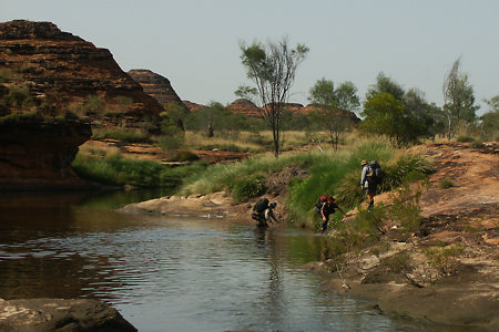 Wading up Piccaninny Creek