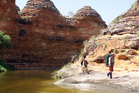 Walking up Piccaninny Creek