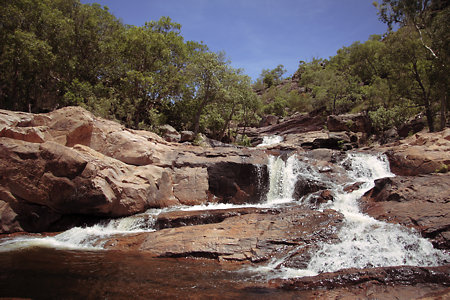 Kakadu