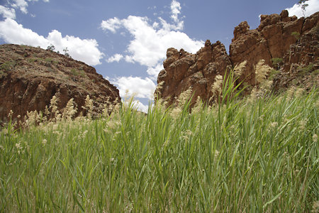 The Red Centre