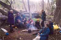 Dinner time, forest camp