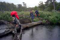 Crossing a log bridge, photo B Smith