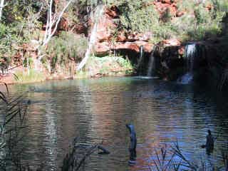 Fern Pool