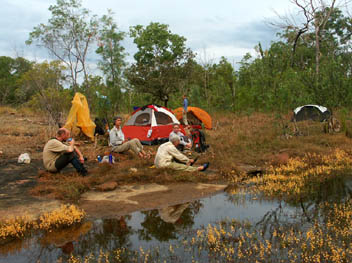 Camping among the wildflowers.