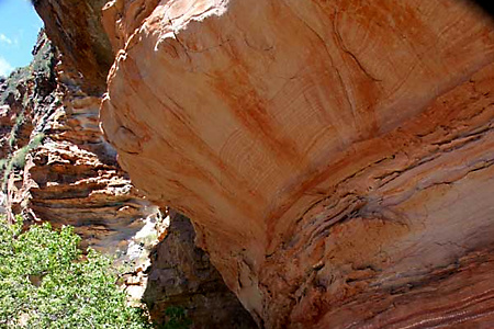 Rock Shelter