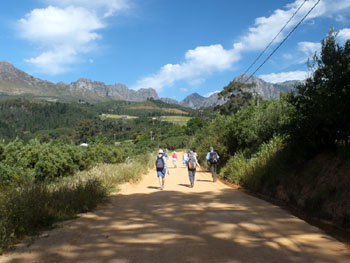 Afternoon walk
