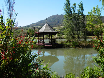 The garden