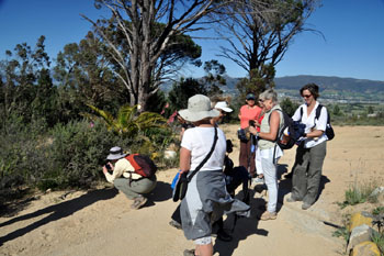 Dorothy photographing the tortoise