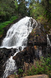 Cascade Manor waterfall