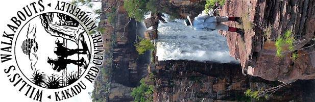 Jim Jim Falls, Wet Season - Enjoying the View