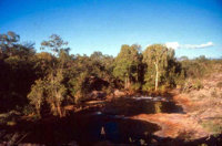 17 Mile Creek above the falls