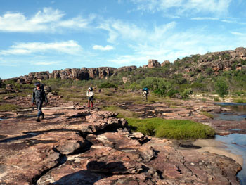 Walking along upper Baroalba Creek