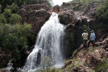 Barramundi Creek Waterfall, January 2009, photo R Ridgwell