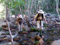 Crossing Dinner Creek