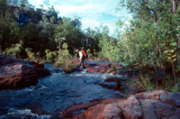 Creek cossing near Crystal