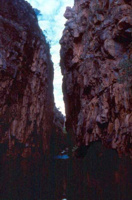 Crystal Gorge from the bottom