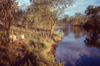 Edith River above Long Pool