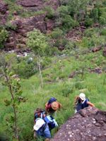 Kurrundie Creek climb