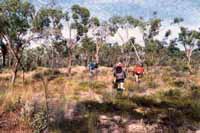 Walking through open woodland on the way to the next waterfall