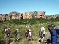 Near the headwaters of Waterfall Creek