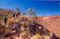 Walking by one of the Cockburn Gorges