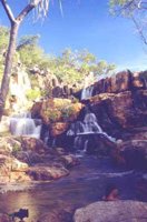 Swim stop at a wet season waterfall