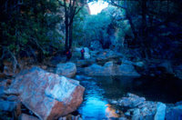 Shady gorge and pool