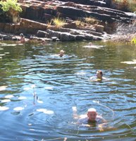 Lily Pool Swim, Carr Boyd