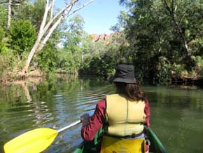Paddling near the start