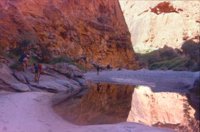 Walking past a rock pool in Piccaninny Gorge