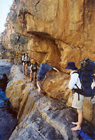 Ledging along a Kimberley creek