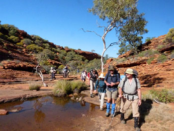 Walking along Kings Creek, Watarrka