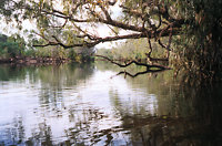 Katherine River