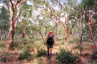 Walking through the grass lands