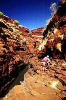 Hancock Gorge tourist walk, photo R Willis