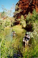 Wading in Kalamina Gorge