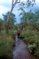 On the Windolf track in the rain