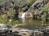 Swim stop, Barramundi Valley, photo E Gold