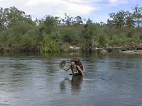 Crossing Twin Falls Creek; in a wetter year, we would have had to swim, photo E Gold