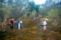 Crossing Koolpin Creek, photo R Willis