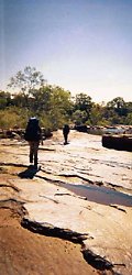 Walking in Kakadu